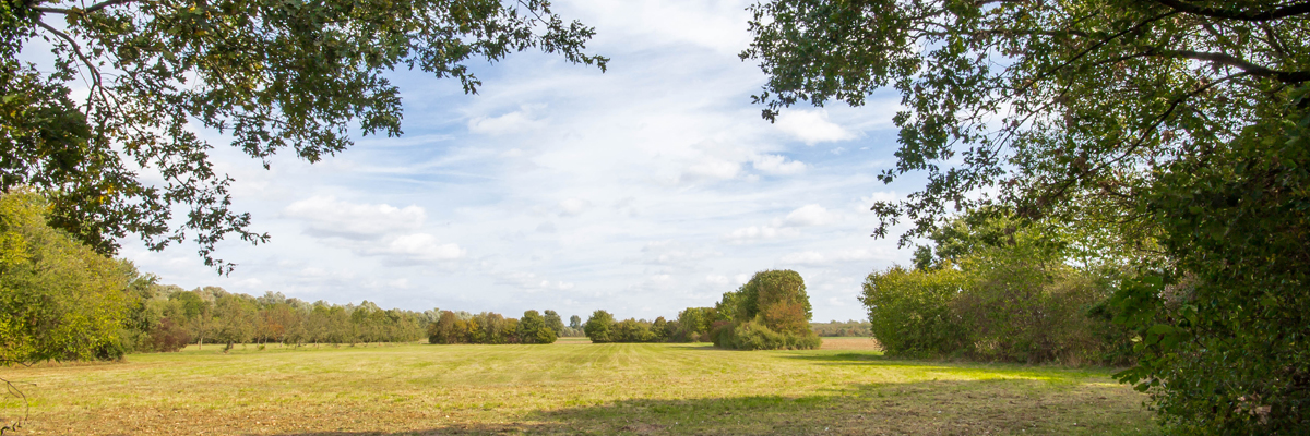 Impressionen Kalkum