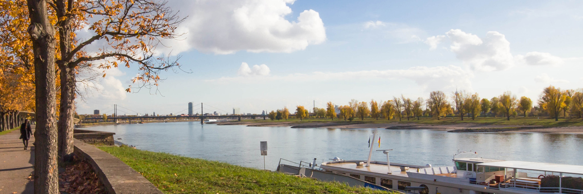 Rhein Stockum