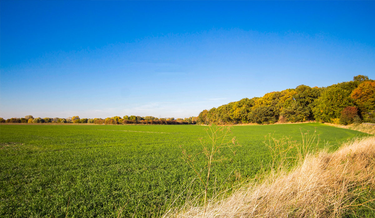 Mündelheim_Website Oktober 2022 _Stadtteilinformationen Duisburg Start
