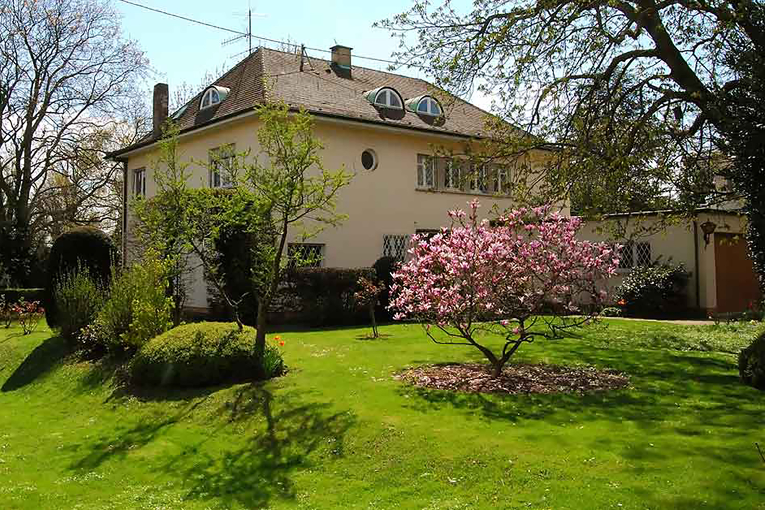 House with the garden